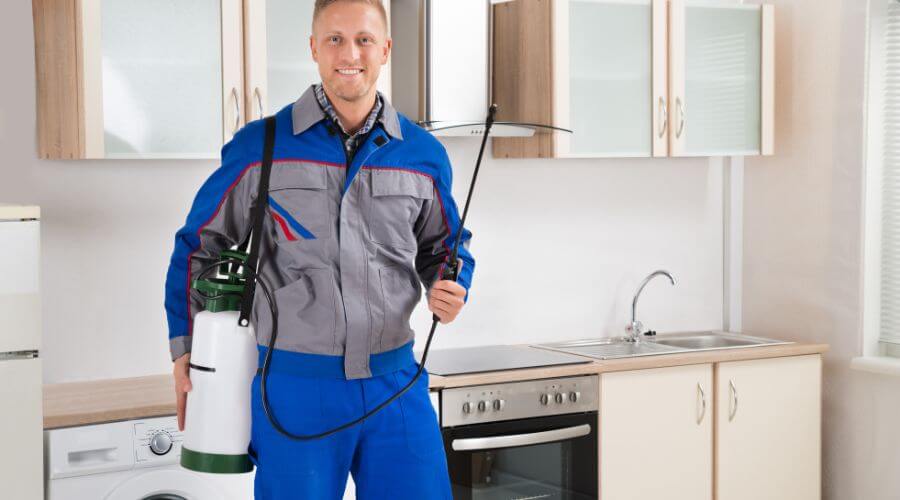 Professional pest control melbourne services in Melbourne